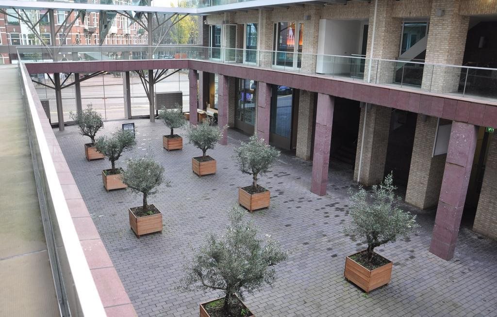 Hotel Mosaic 16