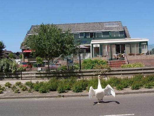 Het Zwaantje 9