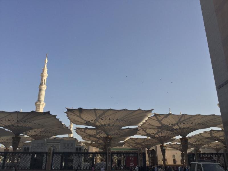 Golden Tulip Al Zahabi 23