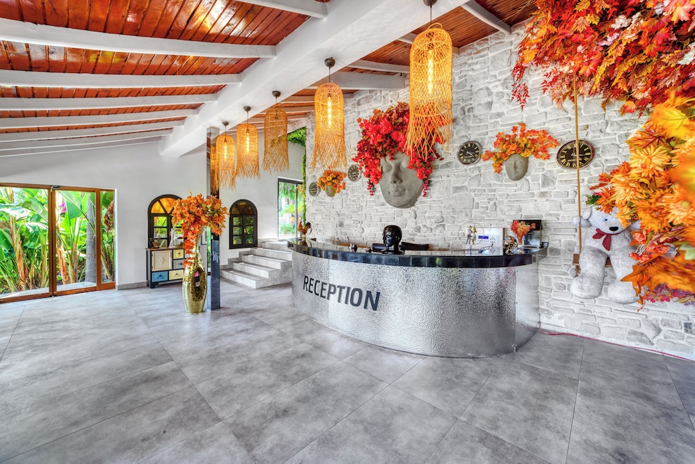 Illusion Beach Club Hotel 3