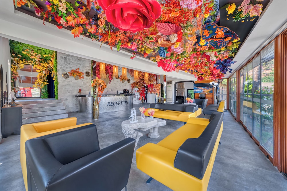 Illusion Beach Club Hotel 2