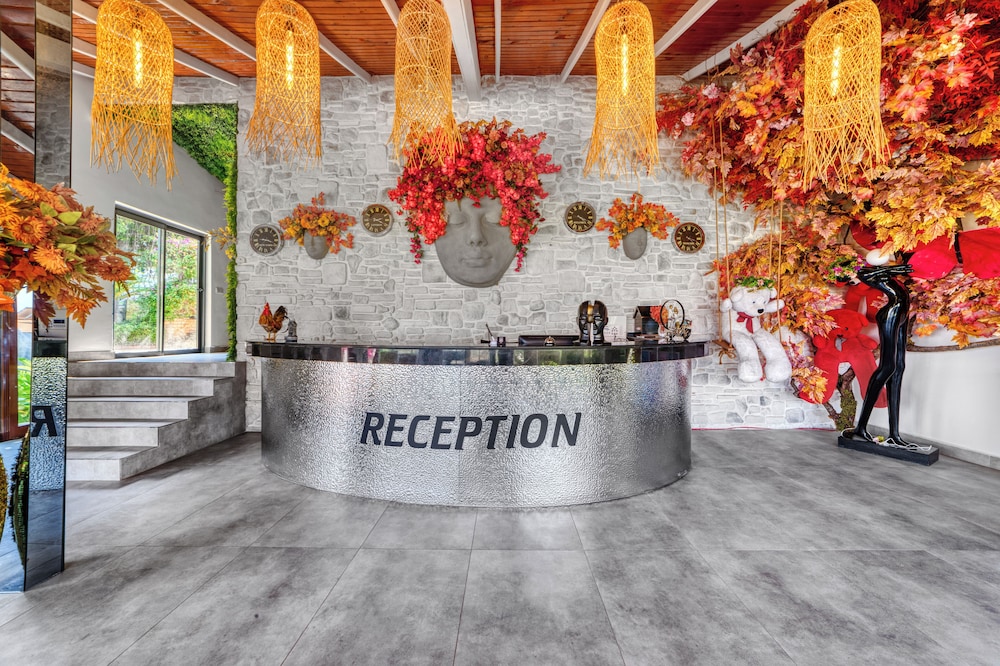Illusion Beach Club Hotel 4