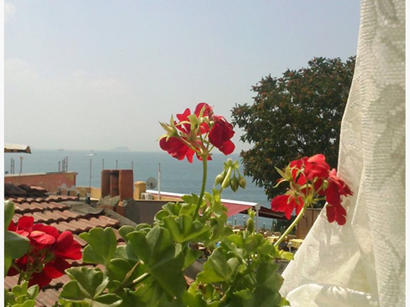 Hotel Buhara Family Inn 12