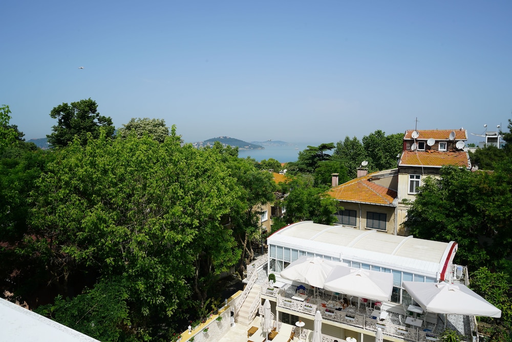 Çankaya 24