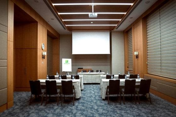 Holiday Inn Baku 18