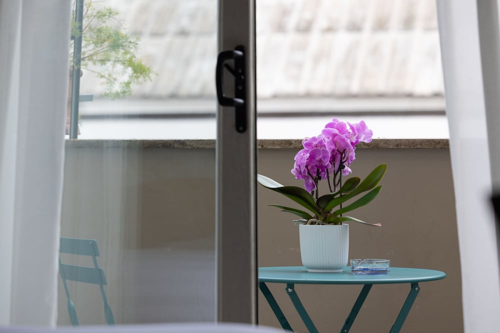 Roof Garden Zaccardi B&B 12
