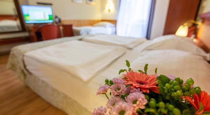 Wenceslas Square Hotel 13