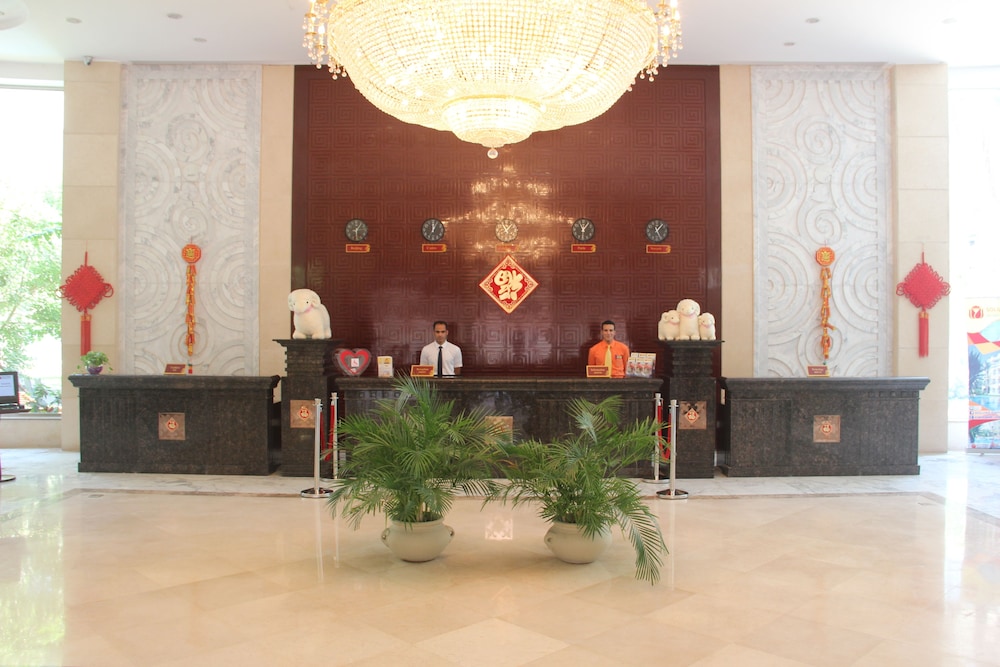 Soluxe Cairo 7