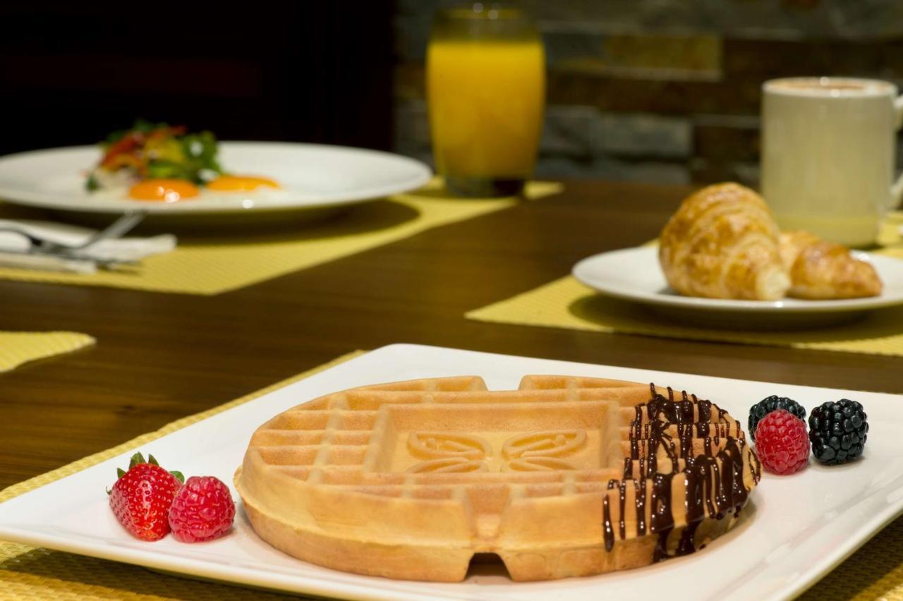 Hilton Garden Inn Dubai Deira 9