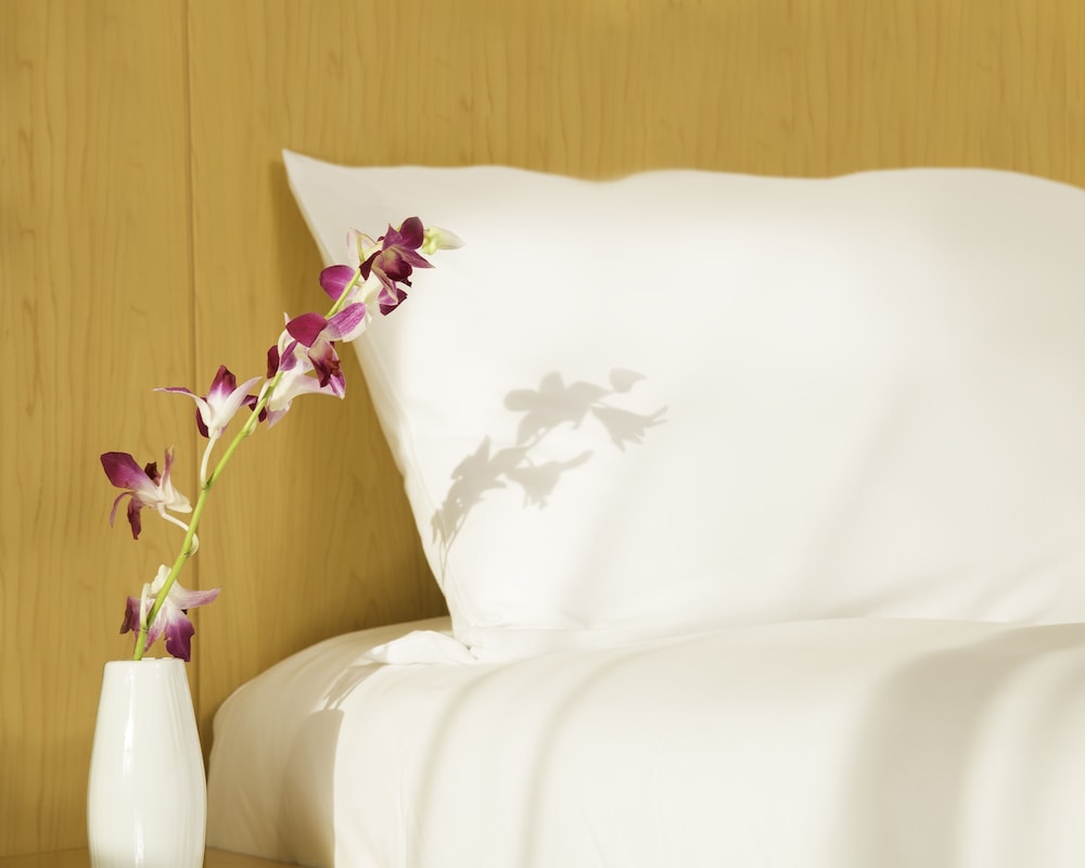 ibis One Central 6