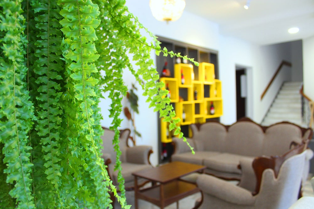 Alliance Hotel 2