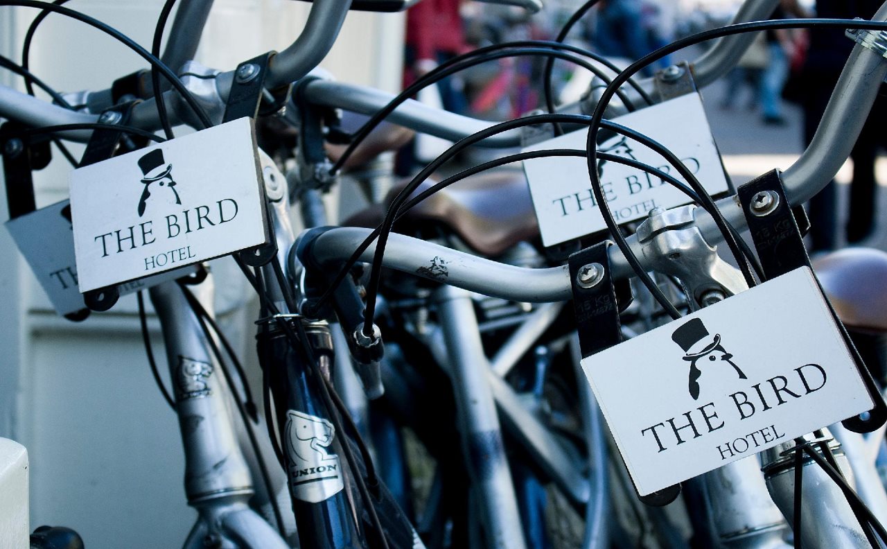 Hotel The Bird 13