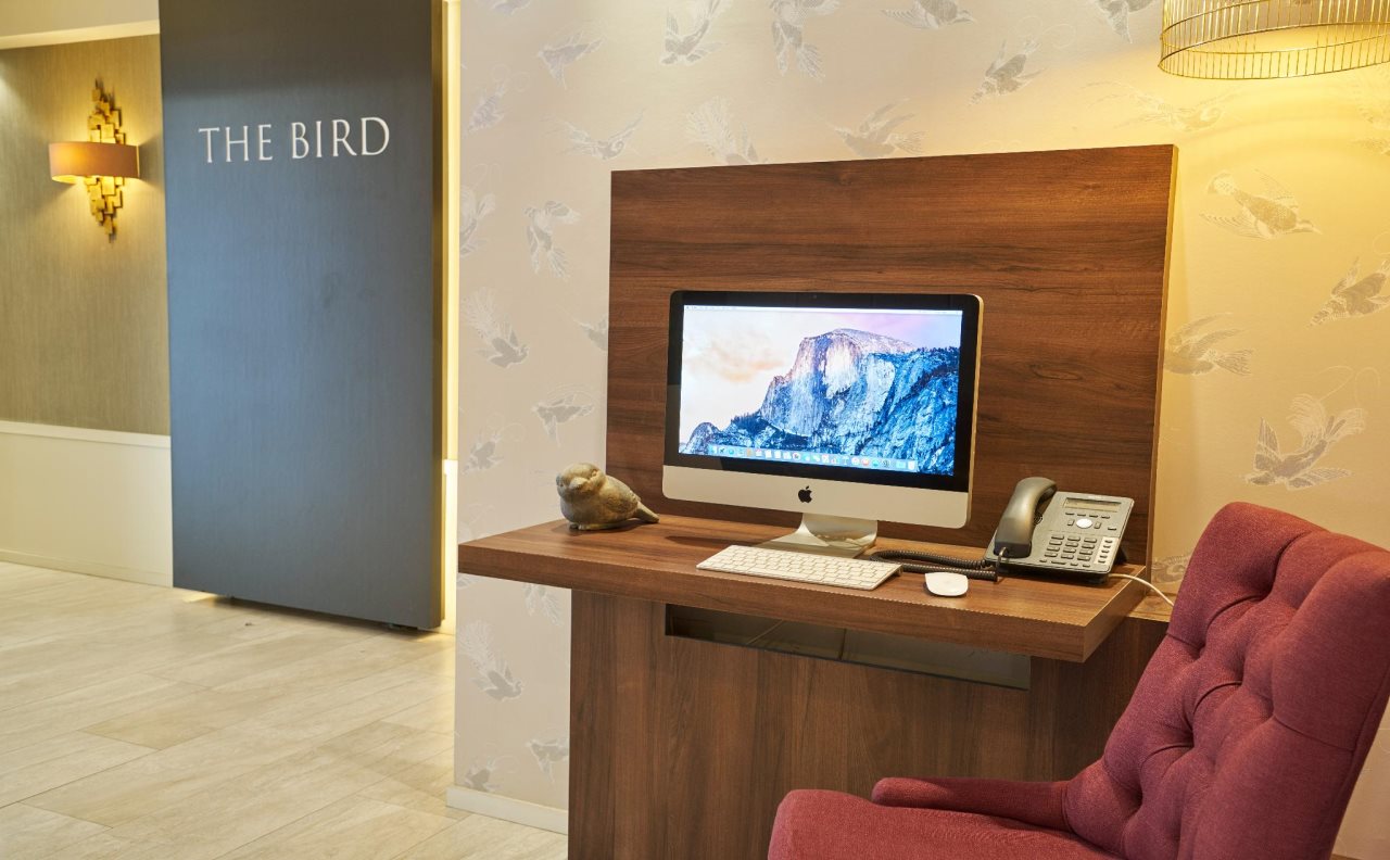 Hotel The Bird 4