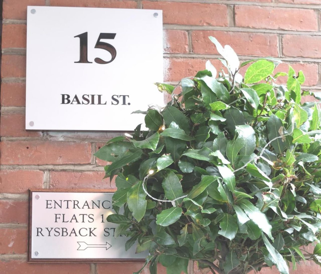 15 Basil Street 10