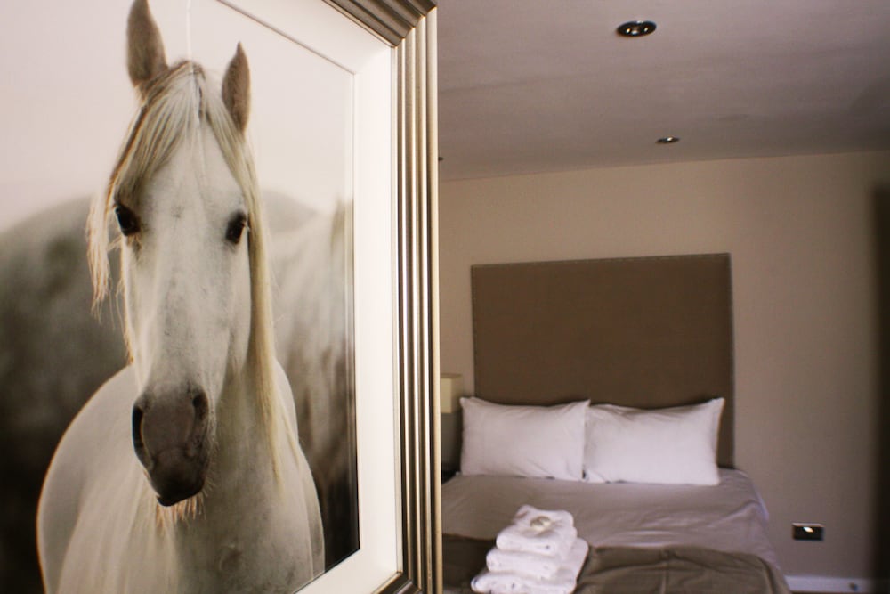 Mccaffertys Bar & Guest House 2