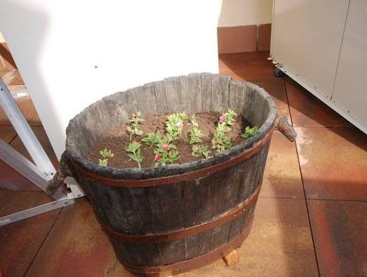 Sitges Apartaments 5
