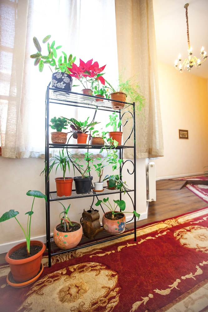 Rustaveli Hotel 5