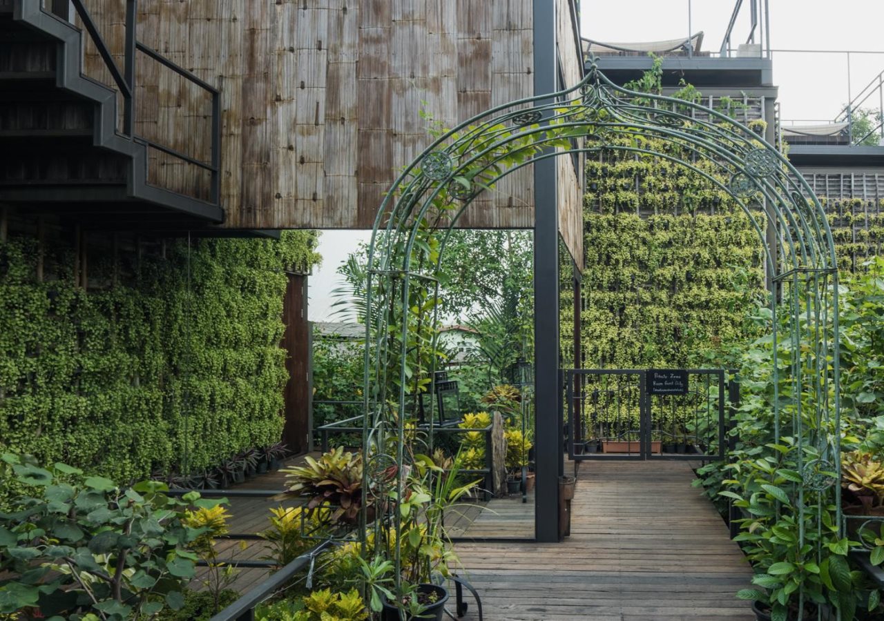 Bangkok Tree House 20