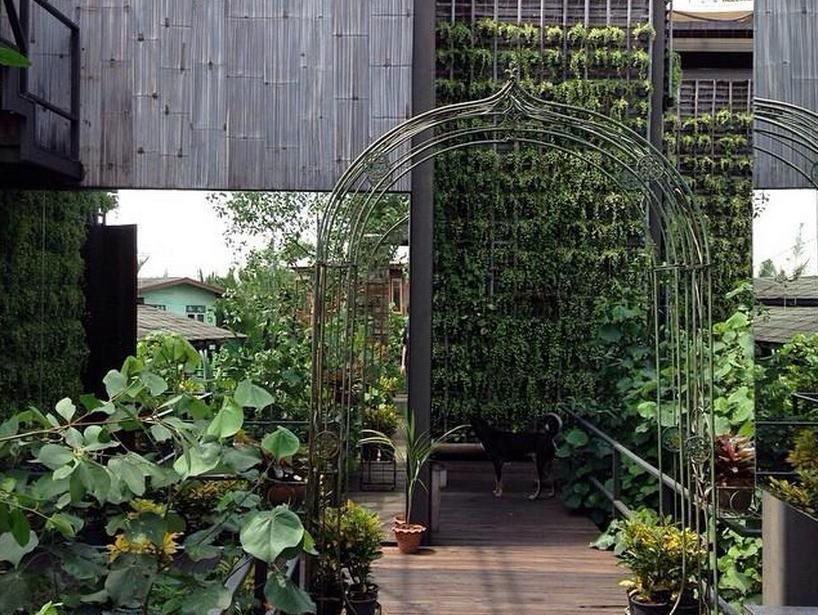 Bangkok Tree House 5