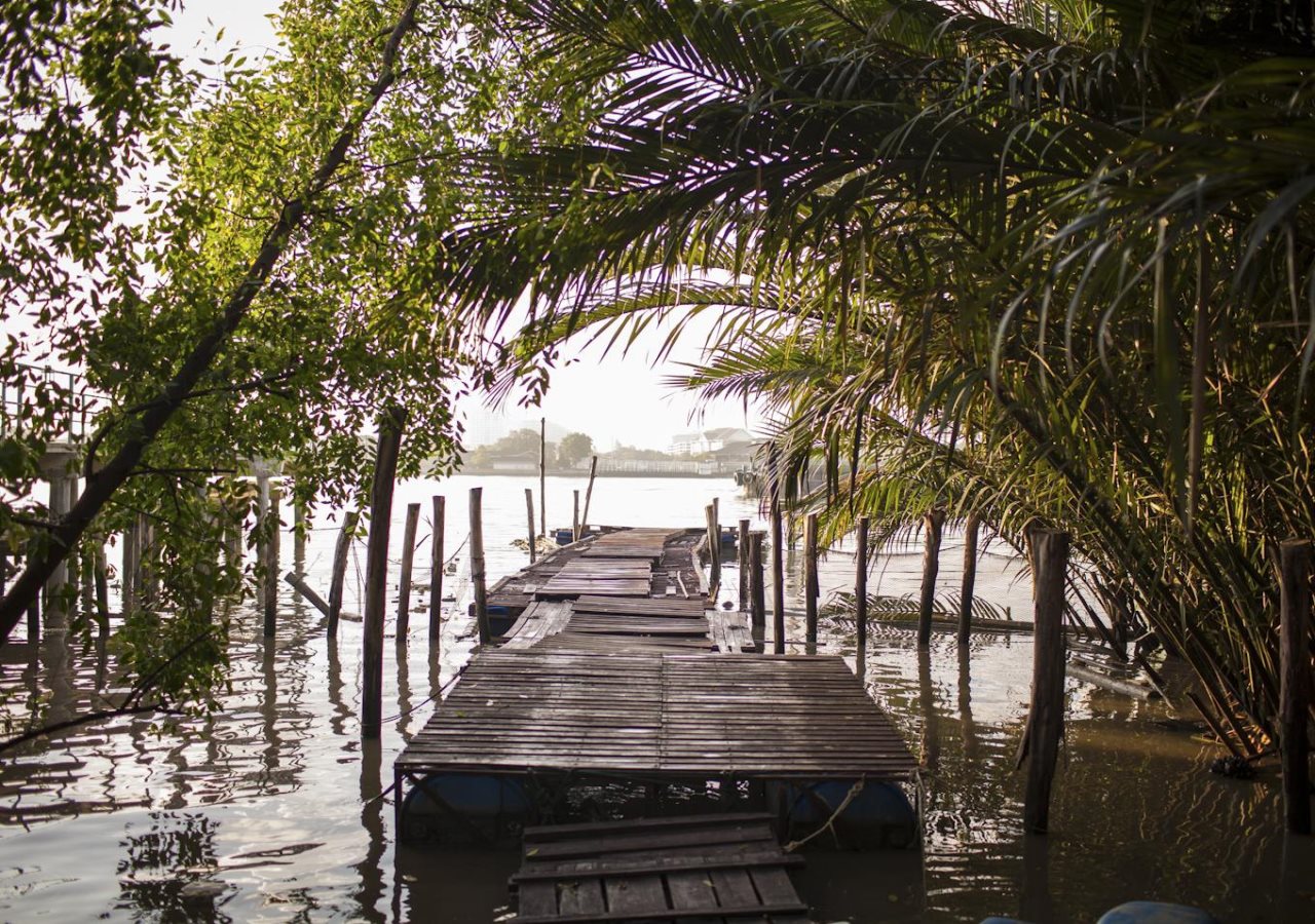 Bangkok Tree House 6