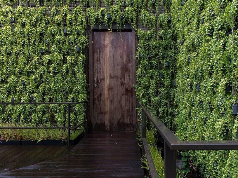 Bangkok Tree House 8