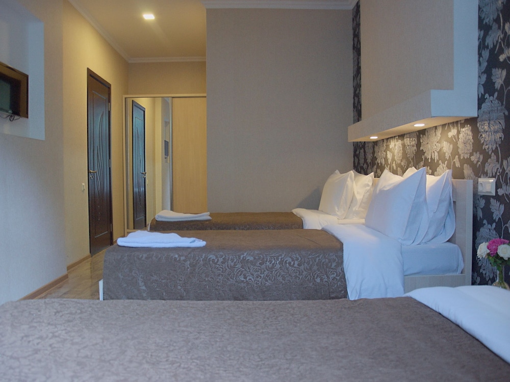 Hotel Tiflis 6