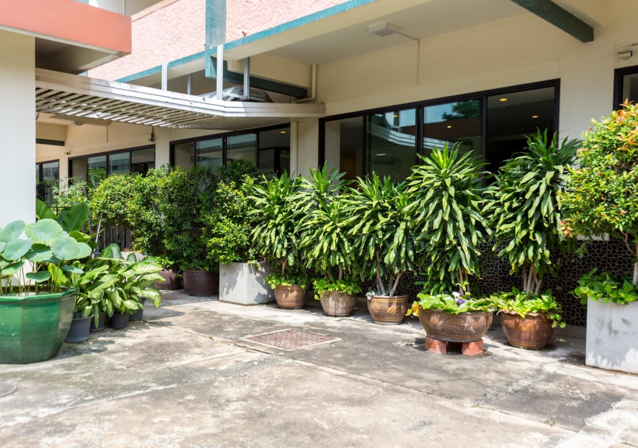 Capital Mansion 20