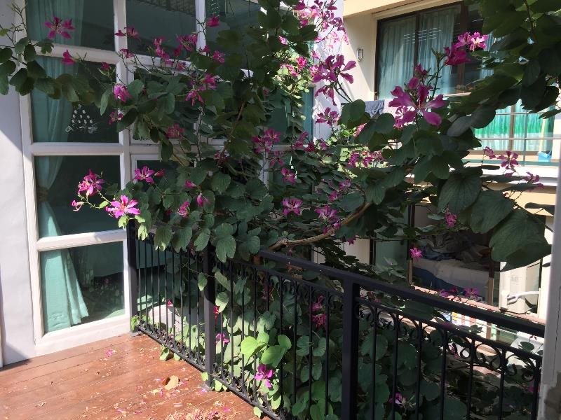 Murraya Residence 23