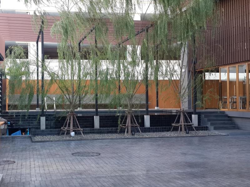 Sereine Sukhumvit 39 12
