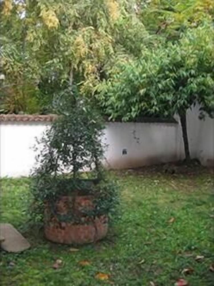 Casa Calicantus 24