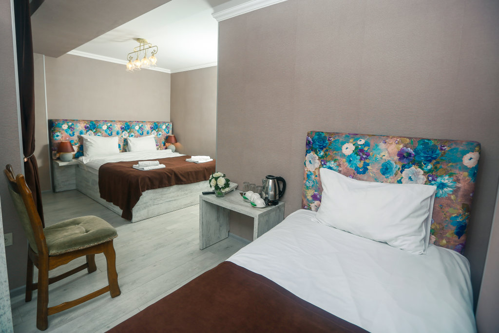 Hotel New Metekhi 3