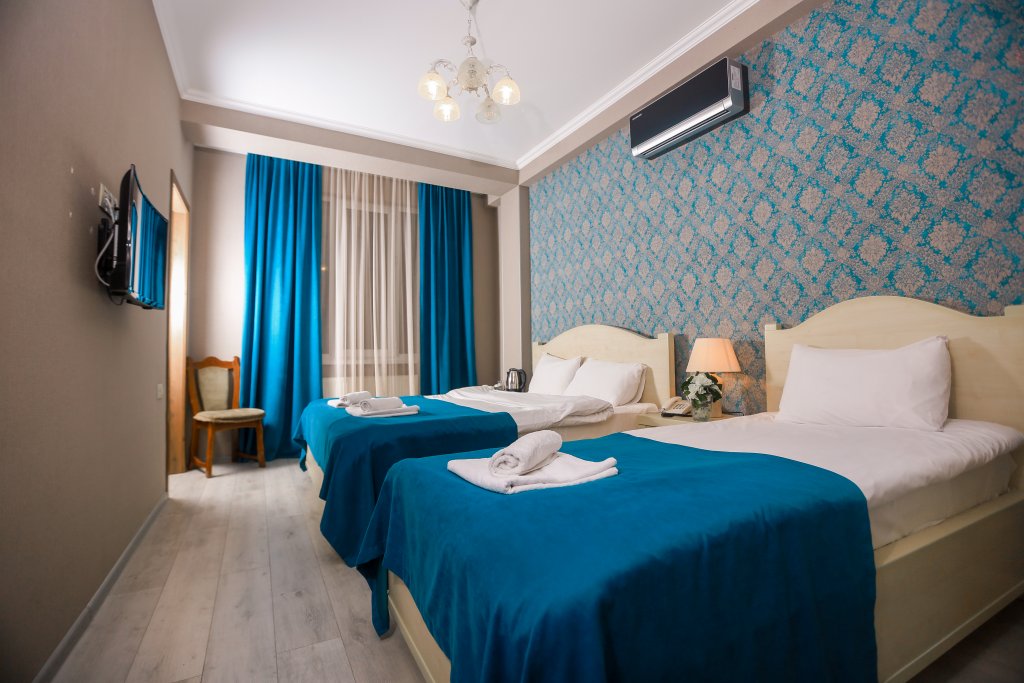 Hotel New Metekhi 4