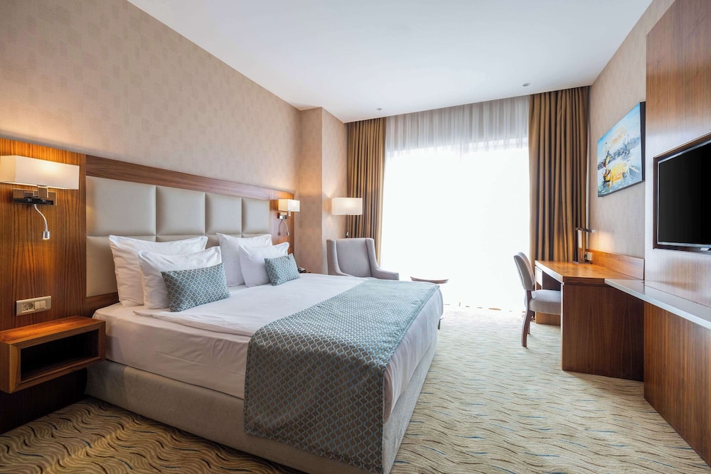Clarion Hotel Istanbul Mahmutbey 17