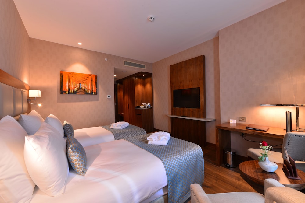 Clarion Hotel Istanbul Mahmutbey 13