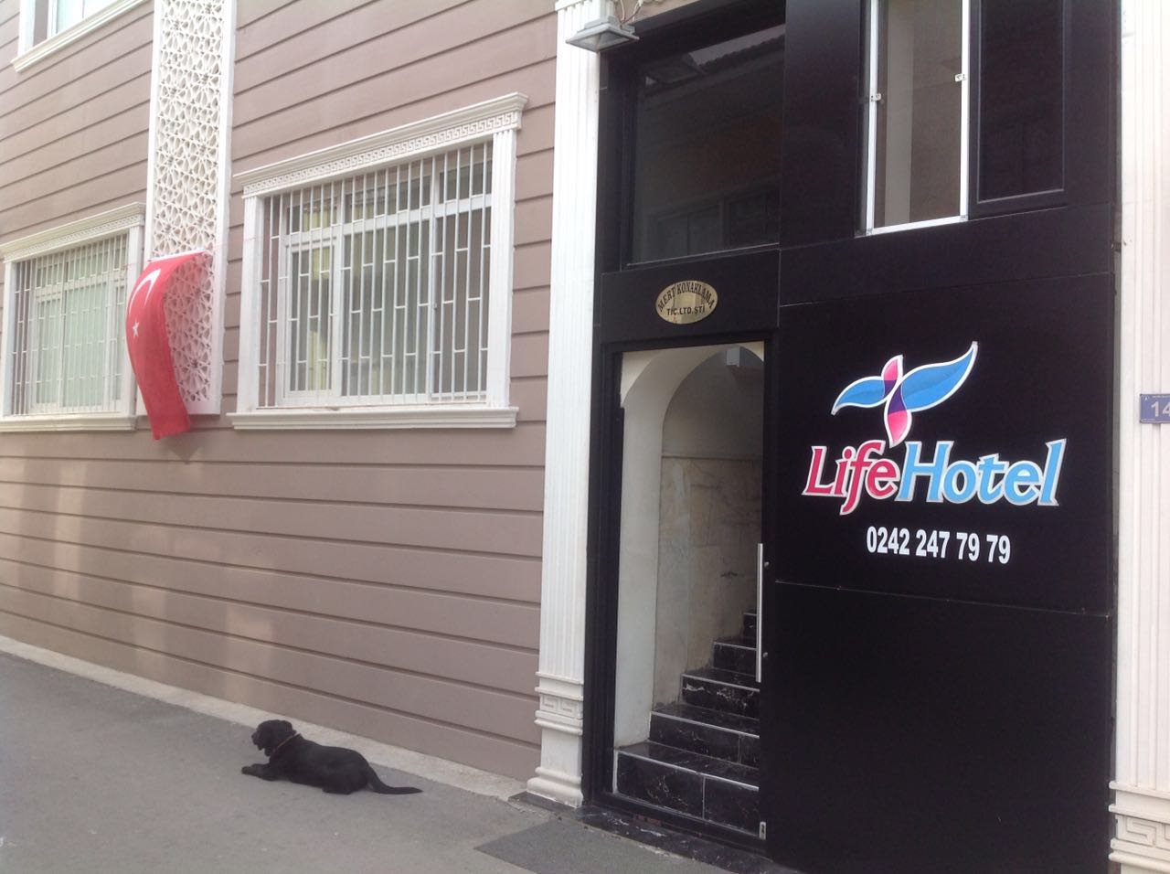 Life Hotel 1