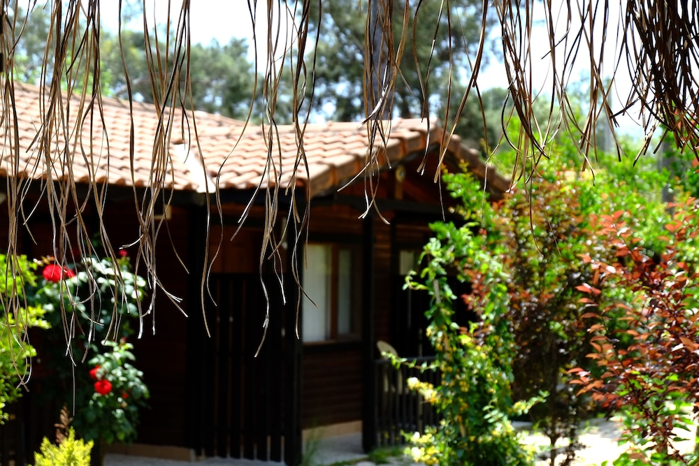 Koala Bungalows 1