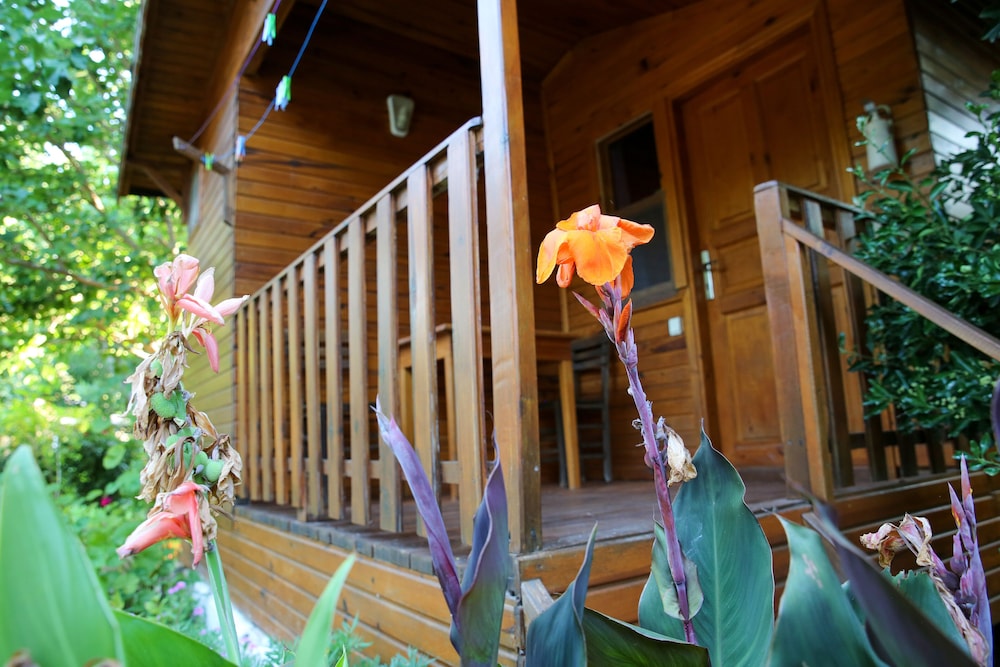 Duran Pension 15