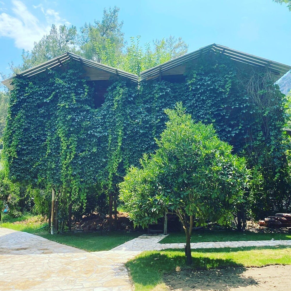 Olympos Çamlik Pansiyon 1