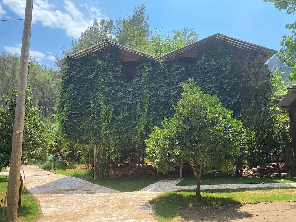 Olympos Çamlik Pansiyon 17