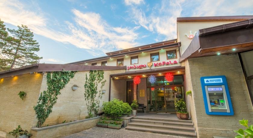 Kopala Tskneti Hotel 1