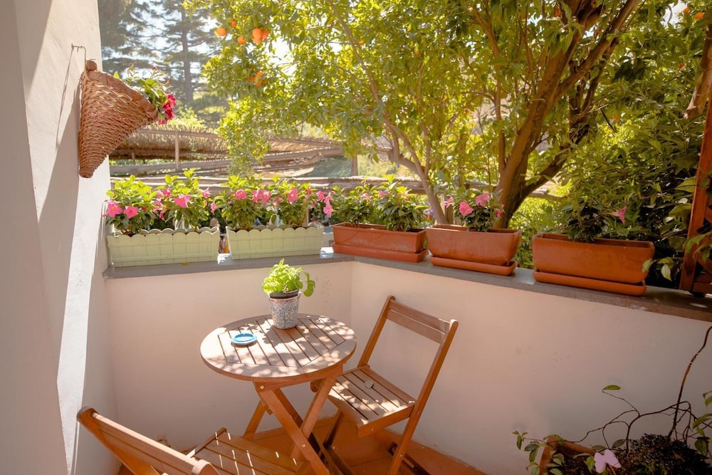 Mimi B&B Bar Pizzeria 24