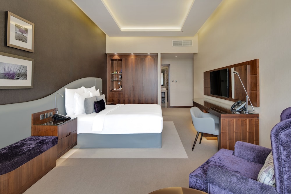 Radisson Blu Hotel Dubai Waterfront 13