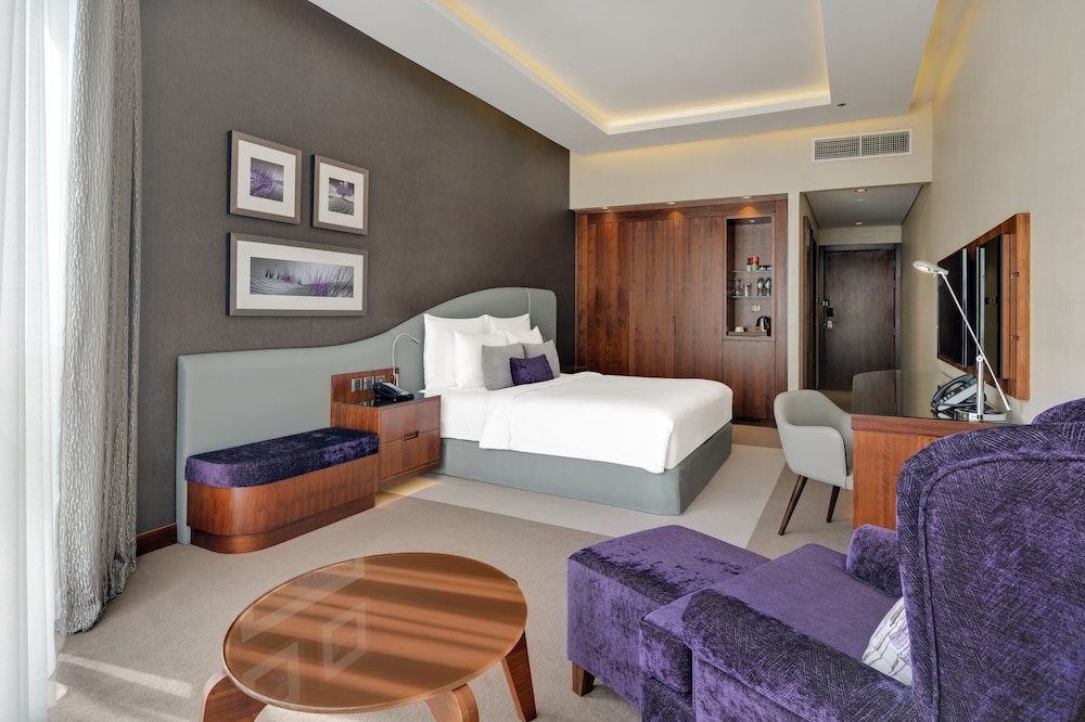 Radisson Blu Hotel Dubai Waterfront 20