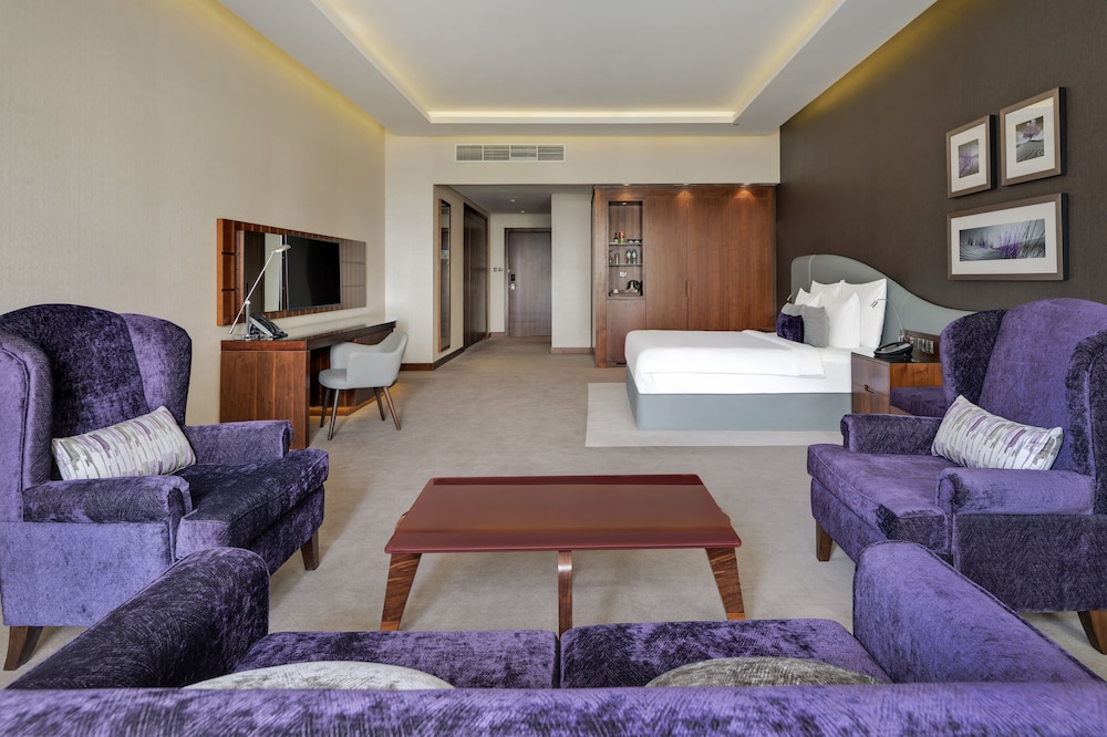 Radisson Blu Hotel Dubai Waterfront 17