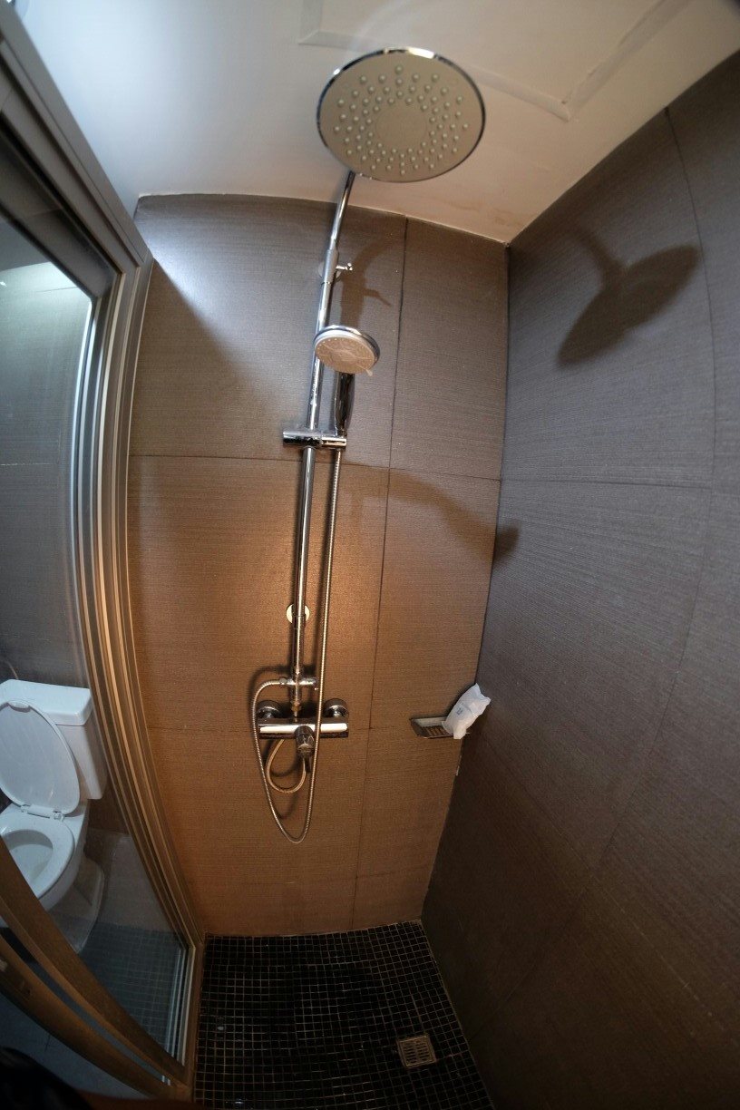 Nice Bird Suite 11