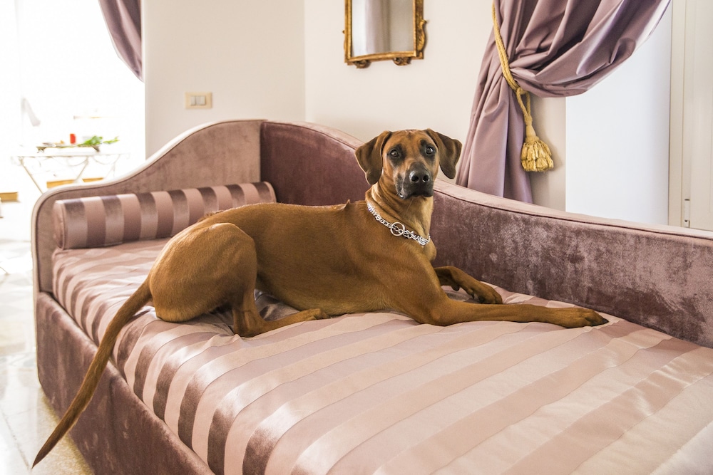 Trastevere Royal Suite 23