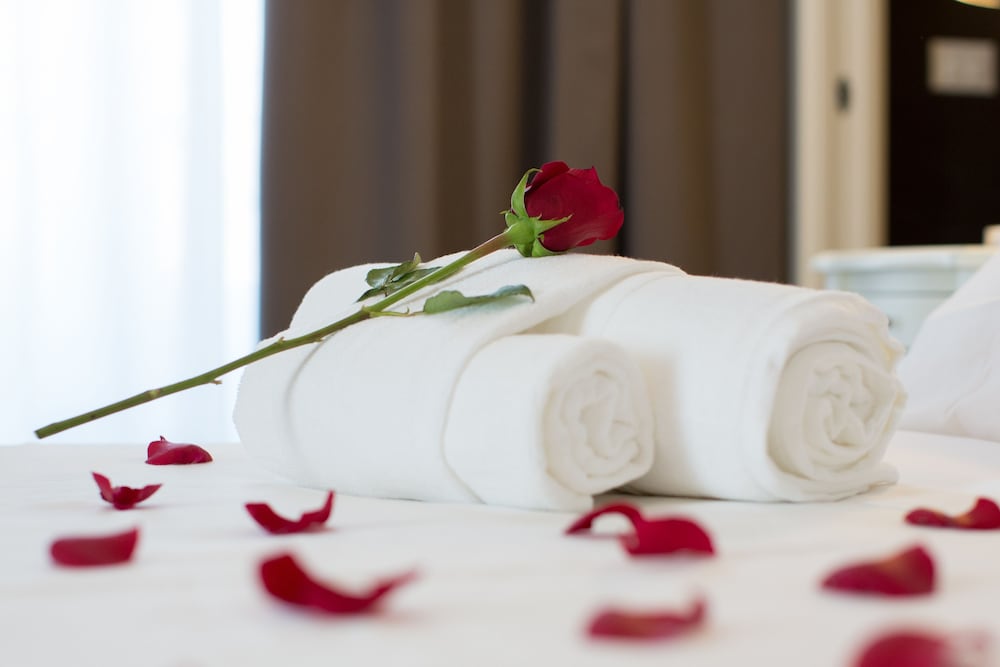 Ara Suite 23