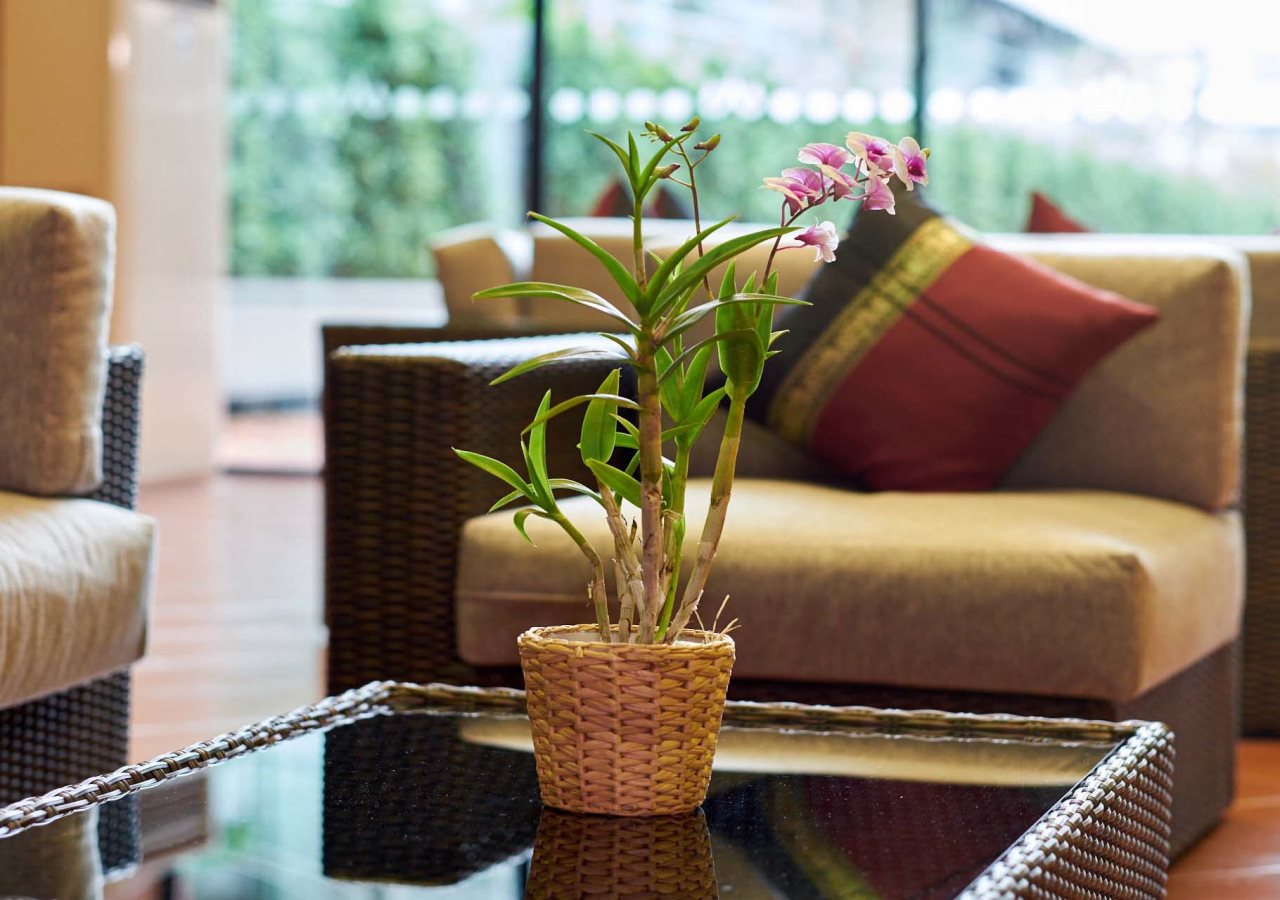 Baan Thai Boutique 19
