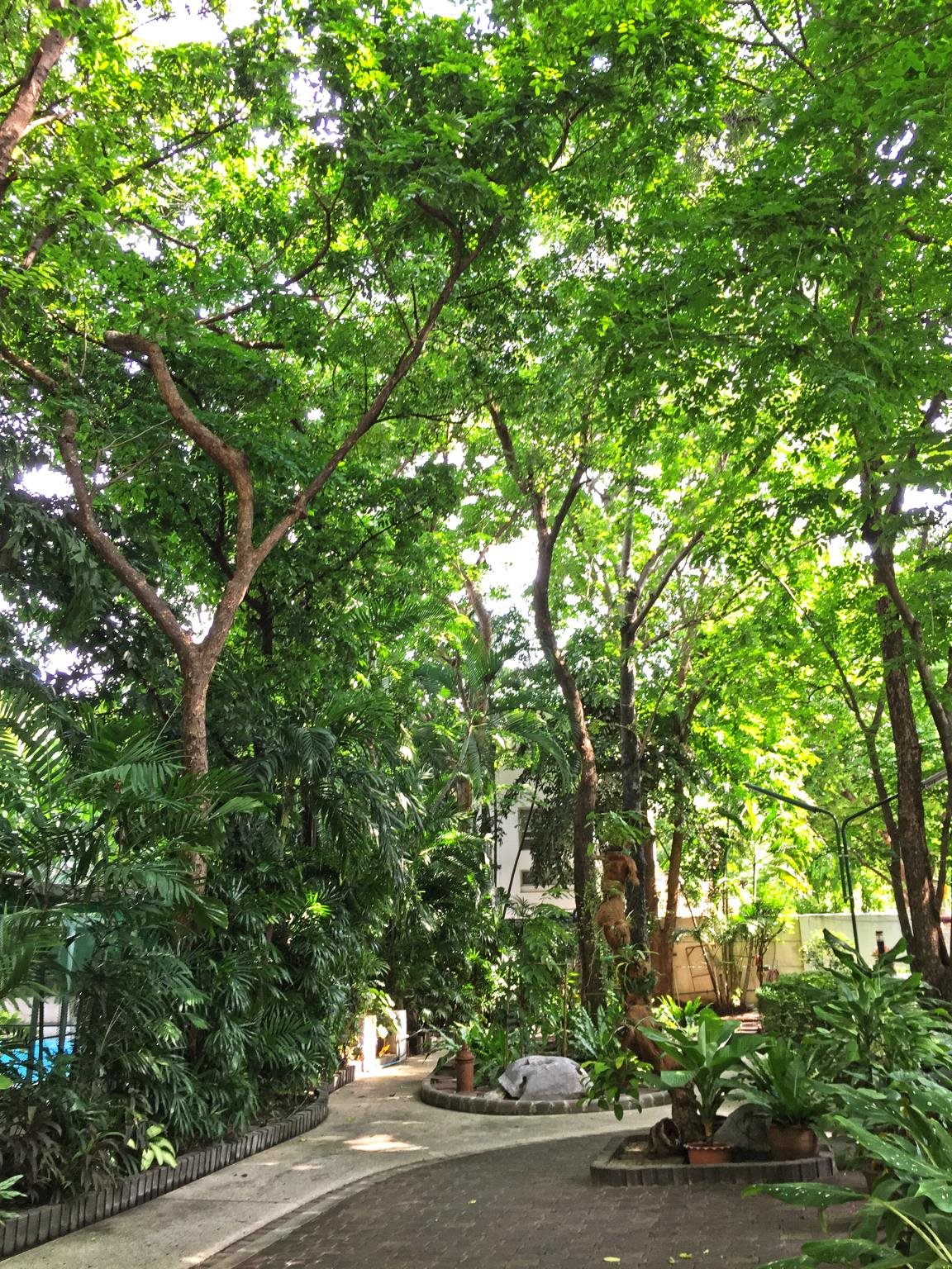 Rio Monte Residence 13
