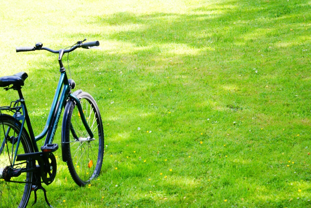 Moxy Berlin Humboldthain Park 21